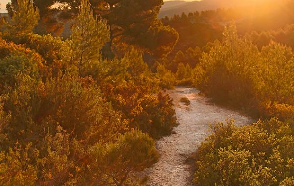 Aix en Provence Hauts de Brunet